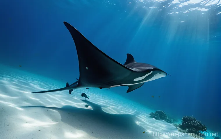 코이바 섬 다이빙 - **Prompt 1: "A breathtaking underwater scene in Coiba National Park, Panama. Crystal-clear turquoise...